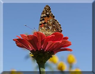 Sommer in Altstädten